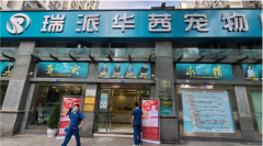 瑞派华茜高新宠物医院完美诠释异宠友好型医院五大特质！